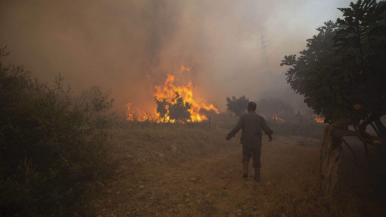 Aydın, Muğla ve Bingöl'de çıkan orman yangınları korku saçıyor! Alevler rüzgarla büyüdü - 3. Resim