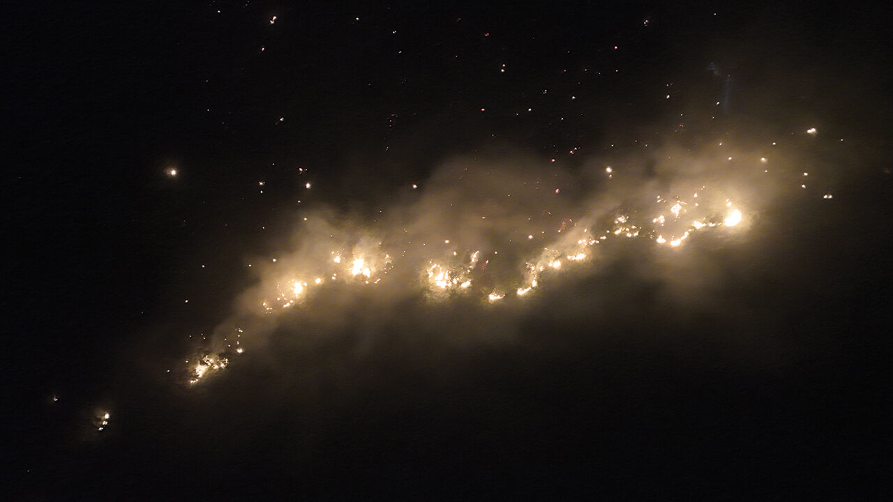 Aydın, Muğla ve Bingöl'de çıkan orman yangınları korku saçıyor! Alevler rüzgarla büyüdü - 4. Resim