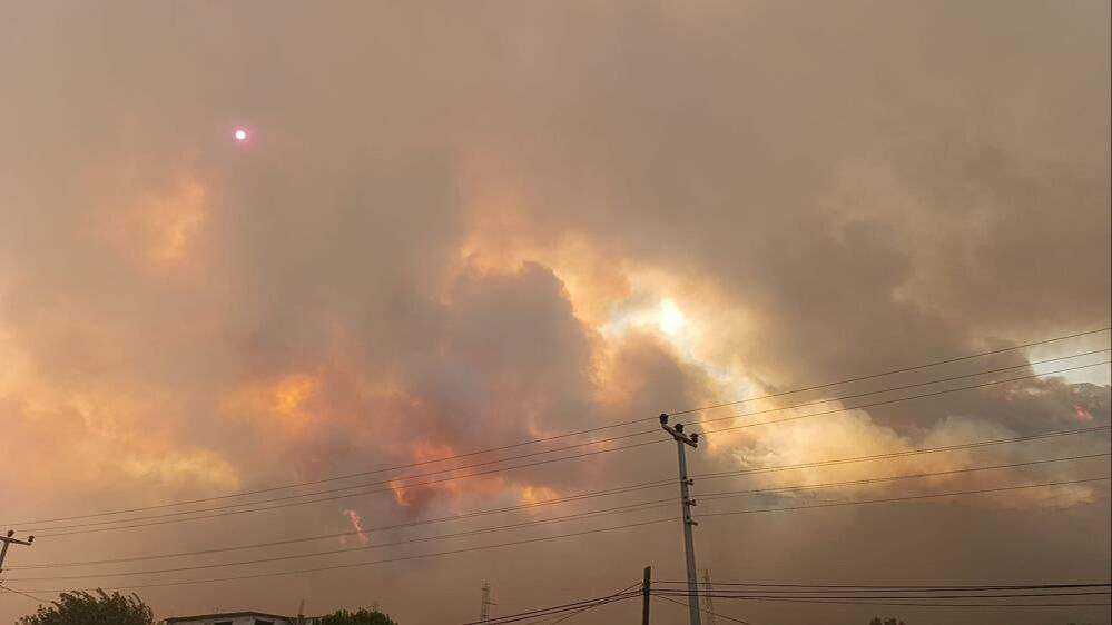 Aydın'da orman yangını! Alevler yerleşim yerlerine sıçradı Aydın'da orman yangını! Alevler yerleşim yerlerine sıçradı - 2. Resim