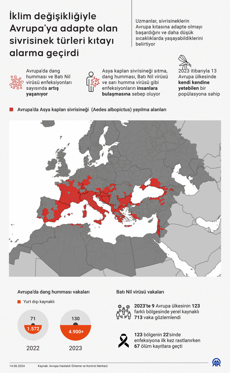Bu sivrisineğe dikkat! İstanbul'da yaygınlaşan 