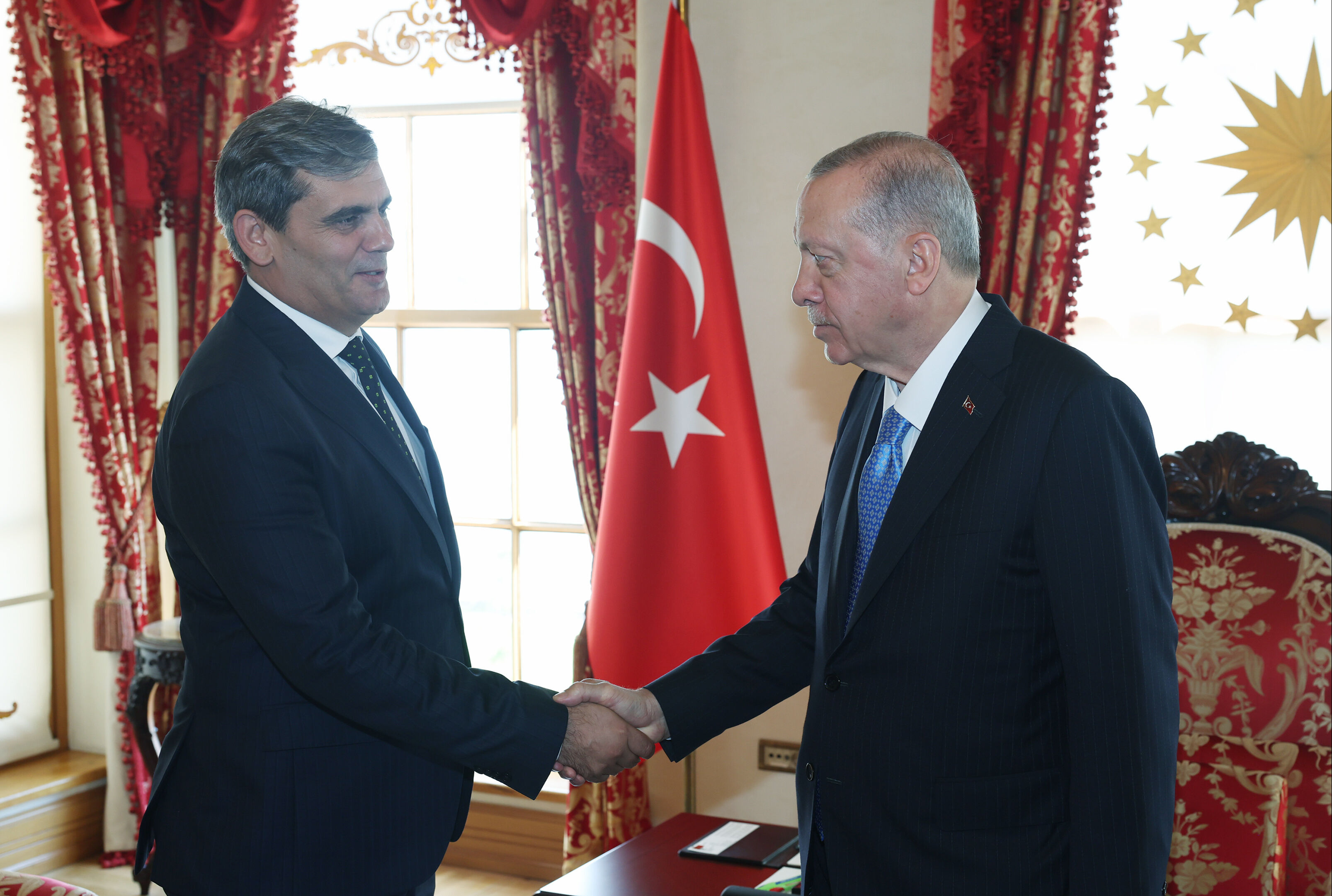 Cumhurbaşkanı Erdoğan, İbrahimovic'i kabul etti - 1. Resim