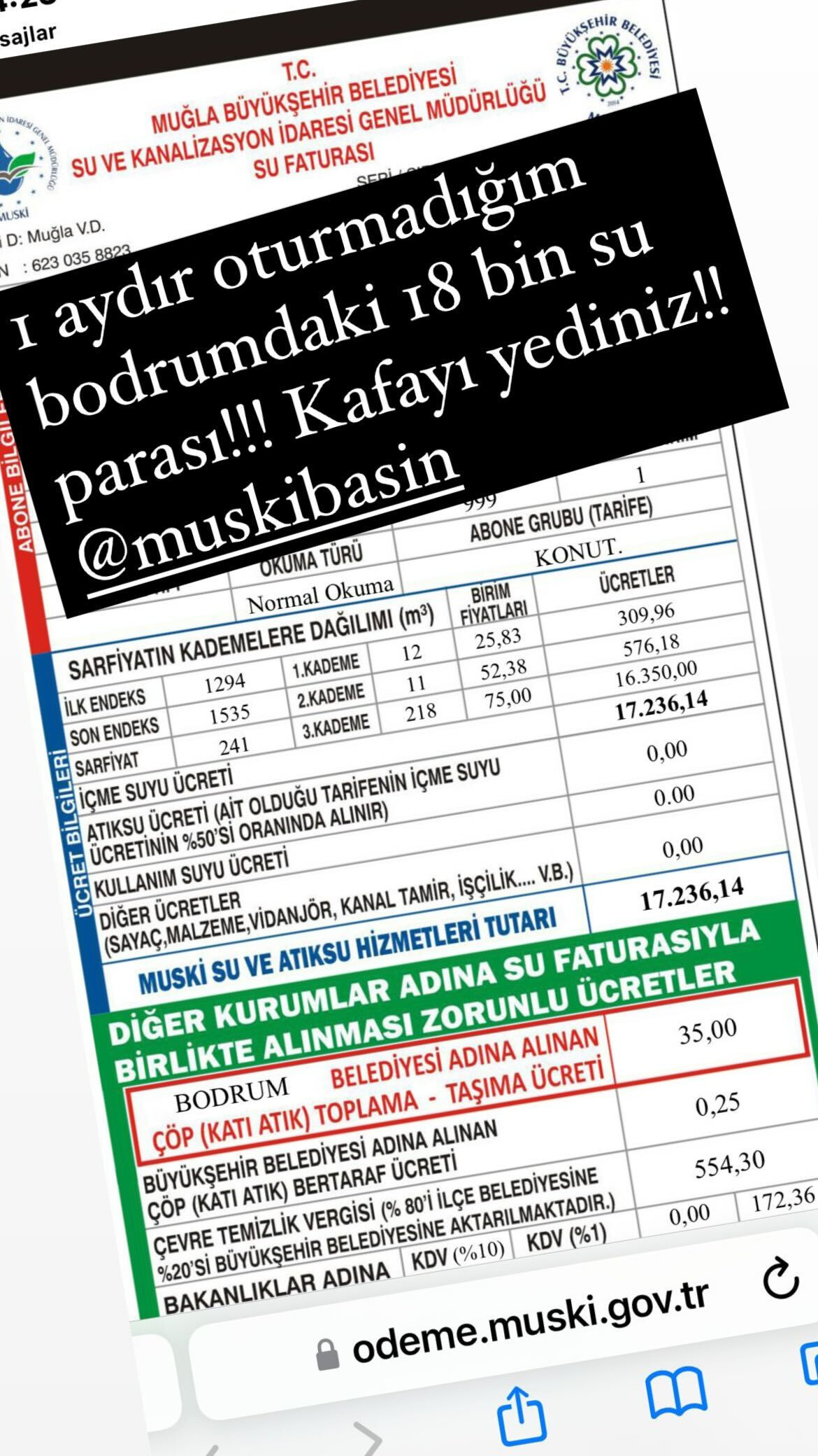 Demet Akalın’a gelen su faturası ağızları açık bıraktı, hayranlarından hemen tavsiye geldi - 1. Resim