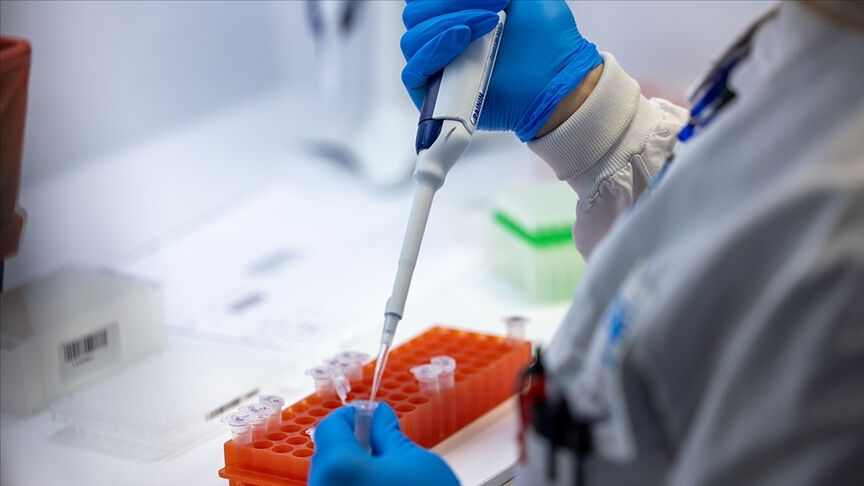 'Maymun Çiçeği' hastalığı hortladı! Afrika alarmda, Türkiye'de son durum ne? 'Maymun Çiçeği' hastalığı hortladı! Afrika alarmda, Türkiye'de son durum ne? - 1. Resim