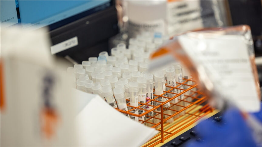 'Maymun Çiçeği' hastalığı hortladı! Afrika alarmda, Türkiye'de son durum ne? 'Maymun Çiçeği' hastalığı hortladı! Afrika alarmda, Türkiye'de son durum ne? - 1. Resim