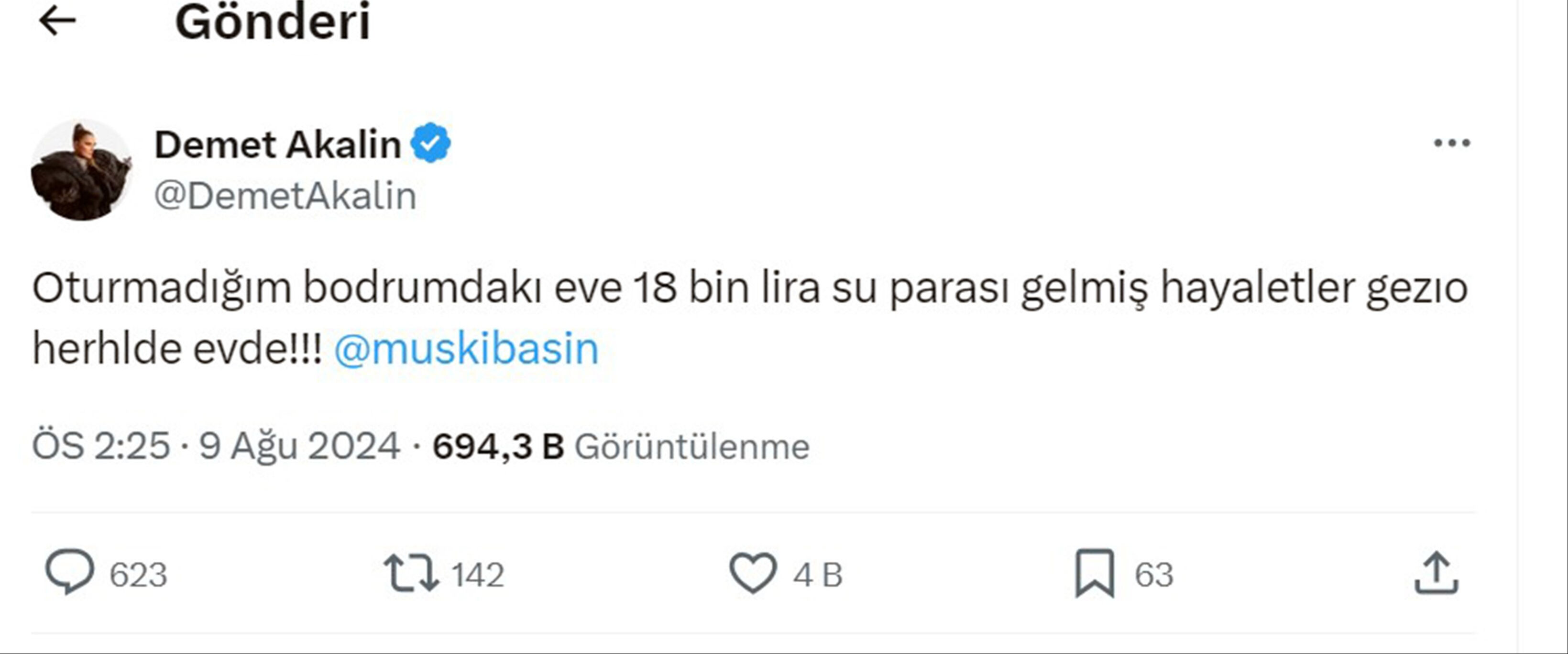 Demet Akalın'ın su faturası isyanına MUSKİ cevap verdi: Bahçe sulama sistemini kontrol et Demet Akalın'ın su faturası isyanına MUSKİ cevap verdi: Bahçe sulama sistemini kontrol et - 2. Resim