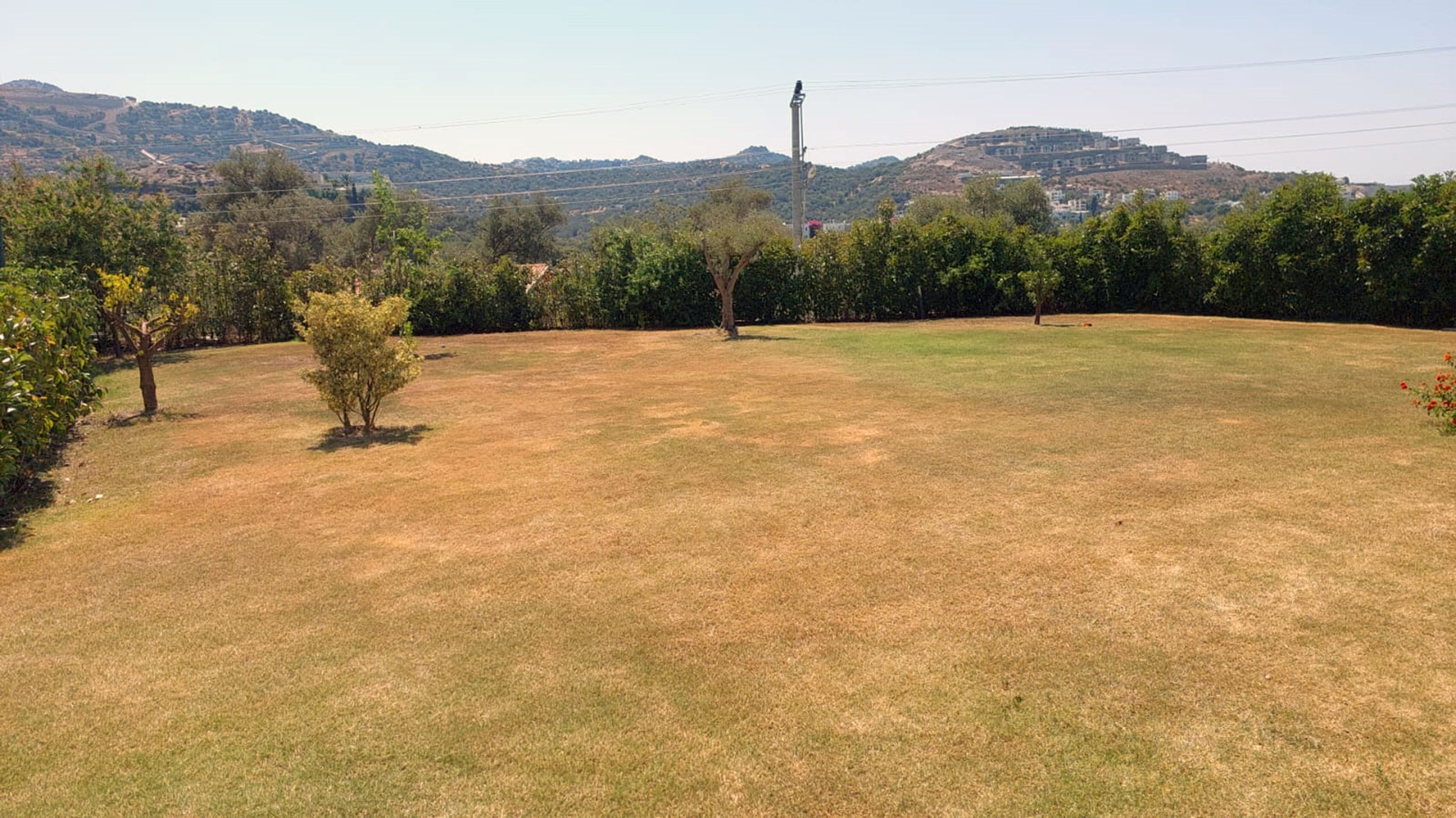 Demet Akalın'ın su faturası isyanına MUSKİ cevap verdi: Bahçe sulama sistemini kontrol et Demet Akalın'ın su faturası isyanına MUSKİ cevap verdi: Bahçe sulama sistemini kontrol et - 1. Resim