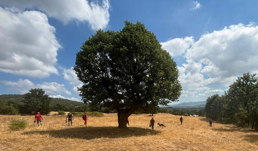 “Hayvanlara bakmak için sayaya gidiyorum” deyip evden çıktı! Her yerde aranıyor - 2. Resim