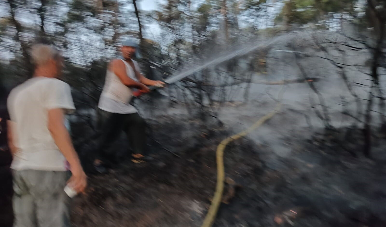 Heybeliada'da yangın paniği! Vatandaşlar da müdahale etti - 1. Resim