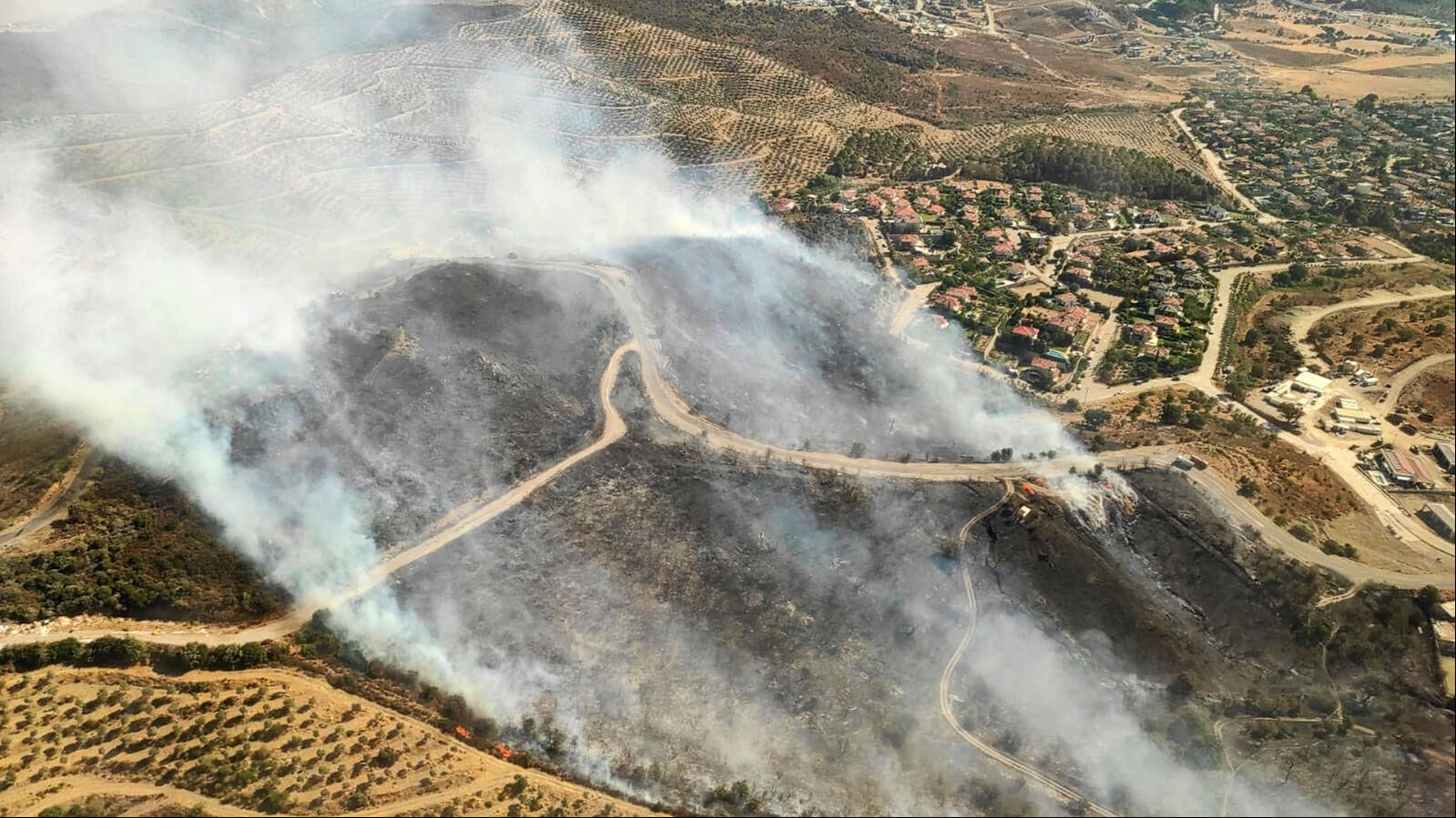 İzmir'in Urla ilçesinde mahallede çıkan yangın ormanlık alana sıçradı İzmir'in Urla ilçesinden alevler yükseliyor! Ekipler olay yerinde - 1. Resim
