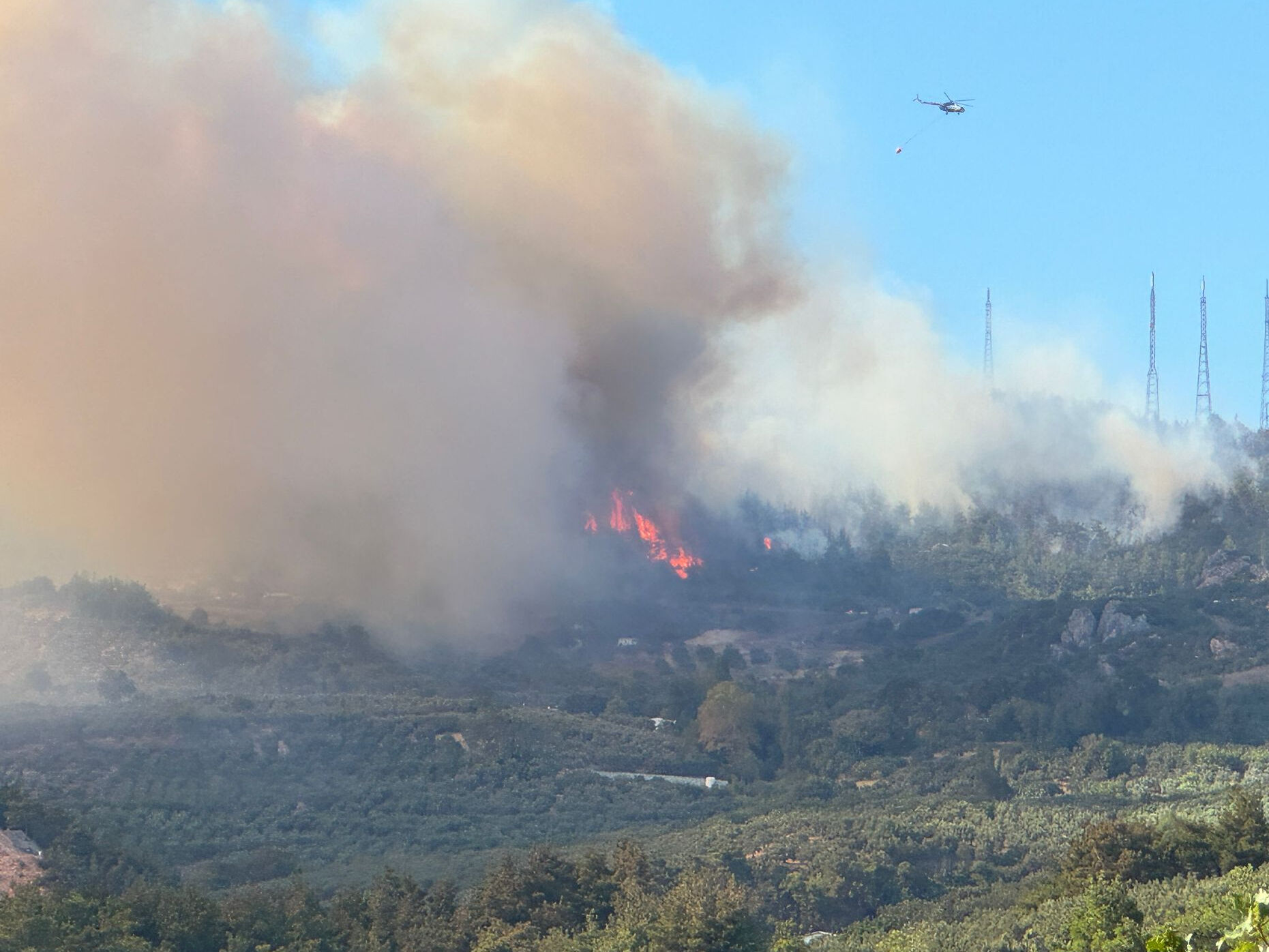 Bursa Osmangazi'de orman yangını! Alevlerle havadan ve karadan mücadele - 1. Resim