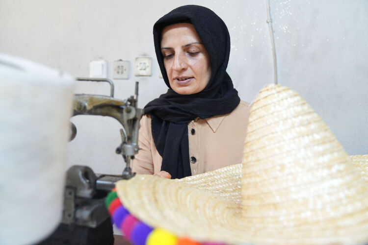 Tarladan binbir zahmetle toplanıyor! &Uuml;sk&uuml;dar'da şapkaya d&ouml;n&uuml;ş&uuml;yor - 1. Resim