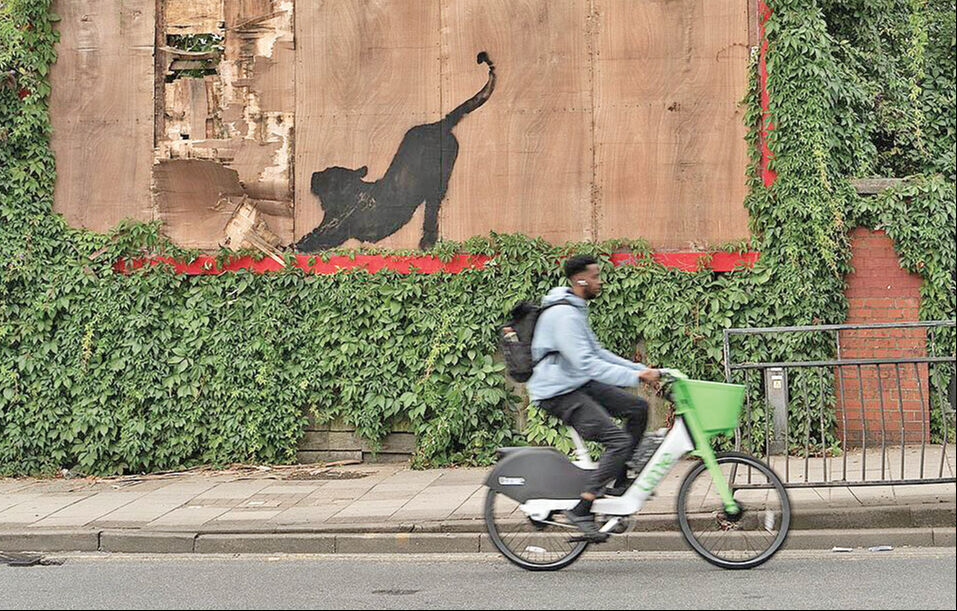 Banksy ne yapmaya çalışıyor? Londra'yı hayvanat bahçesine çevirdi - 2. Resim