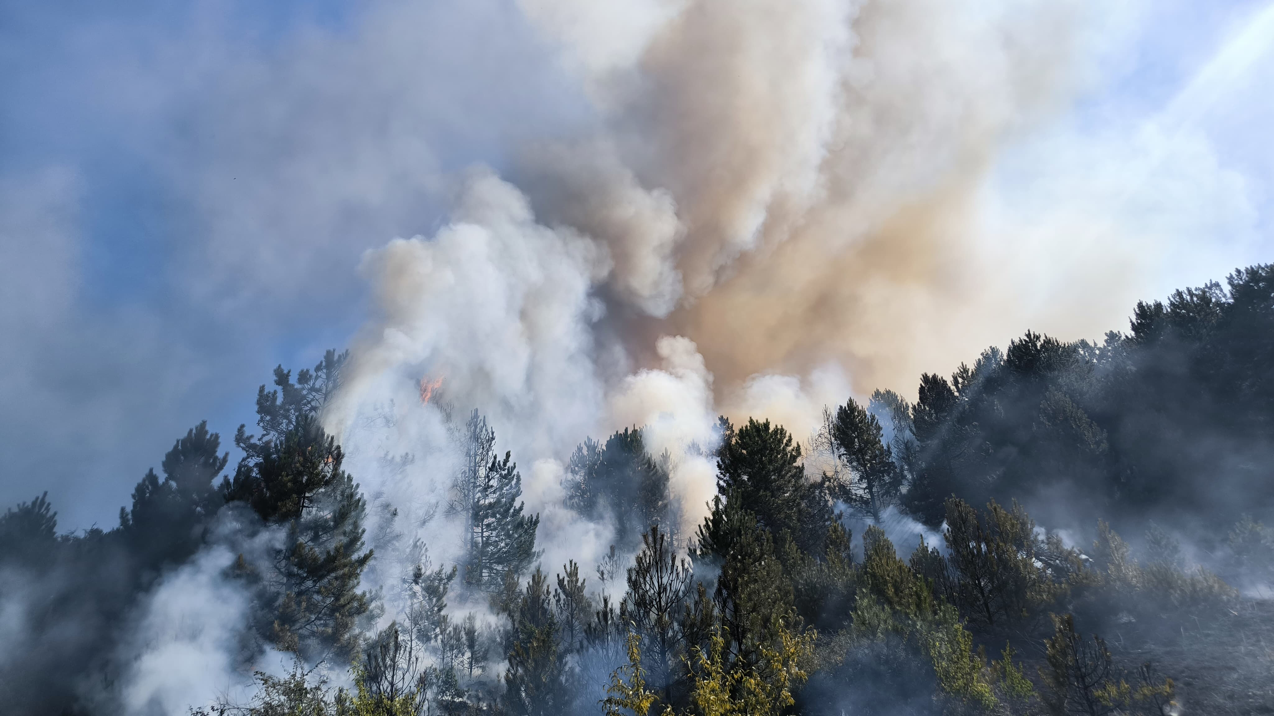 Çanakkale, Mersin, Manisa, Adana... 4 ilde orman yangına ekipler müdahale ediyor - 1. Resim