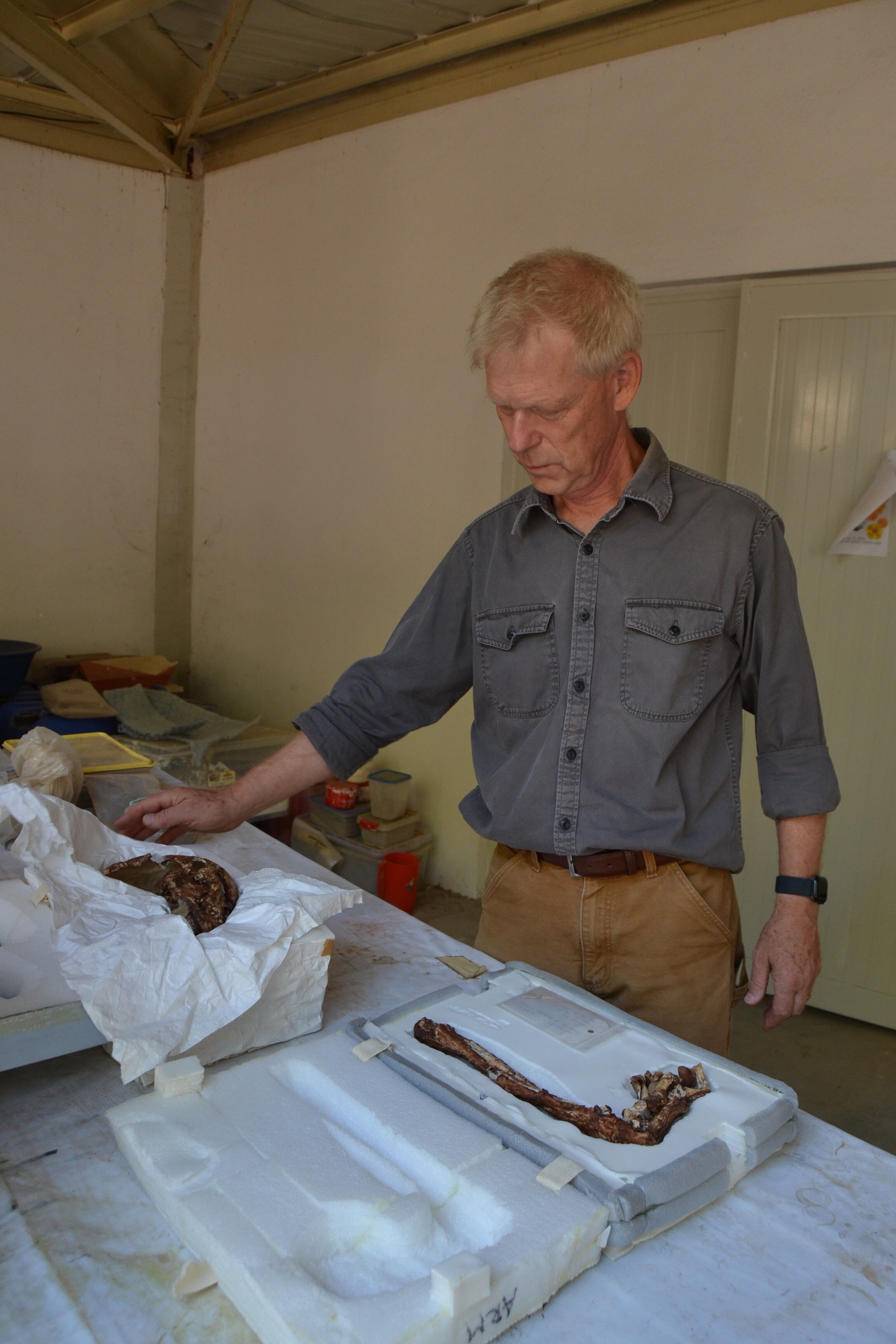Sardes kazıları savaşın izlerini buldu! Lidya ve Pers Krallığı'nın Thymbra Muharebesi Manisa'da yaşandı - 1. Resim