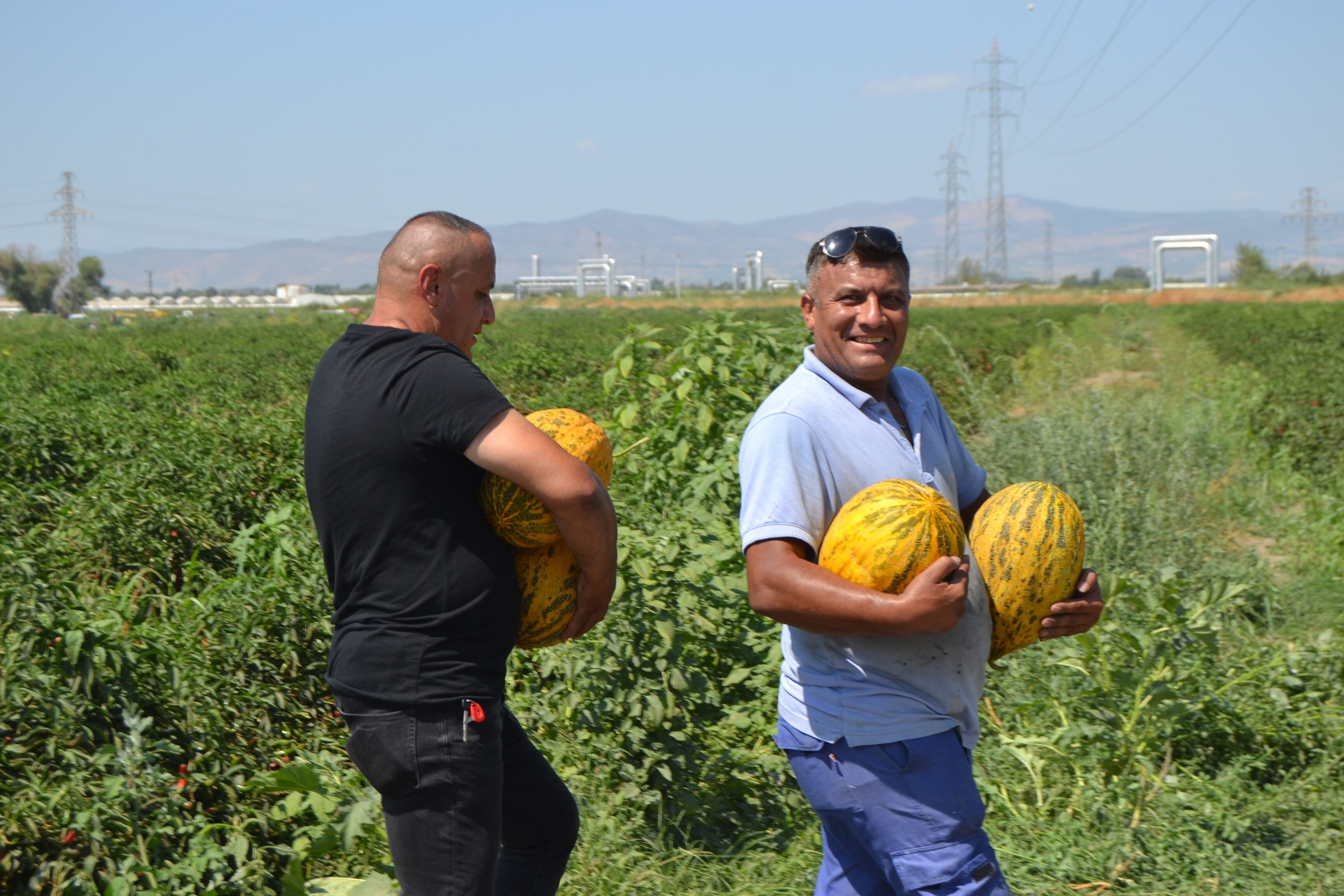 Tarla sahipleri aracıların rakamını duydu, 600 ton ürünü bedava dağıttı! Duyan koşup çuval çuval aldı Tarla sahipleri aracıların rakamı duydu, 600 ton ürünü bedava dağıttı! Duyan koşup çuval çuval aldı - 4. Resim