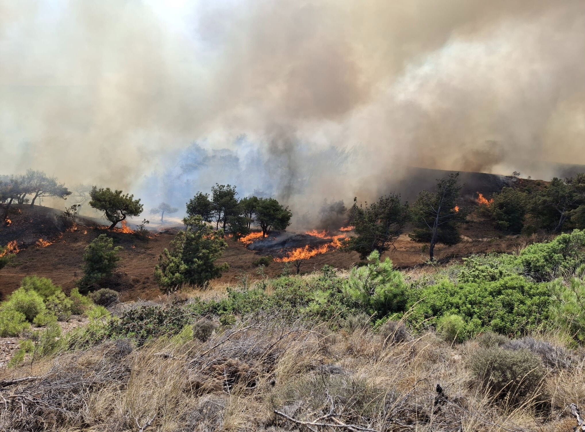 Bozcaada'da ziraat arazisinde yangın çıktı! Çanakkale ve çevresinden hava araçları bölgeye yönlendirildi - 7. Resim