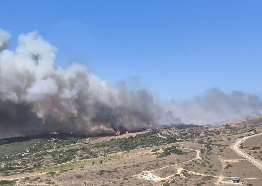 Bozcaada'da ziraat arazisinde yangın çıktı! Çanakkale ve çevresinden hava araçları bölgeye yönlendirildi - 5. Resim