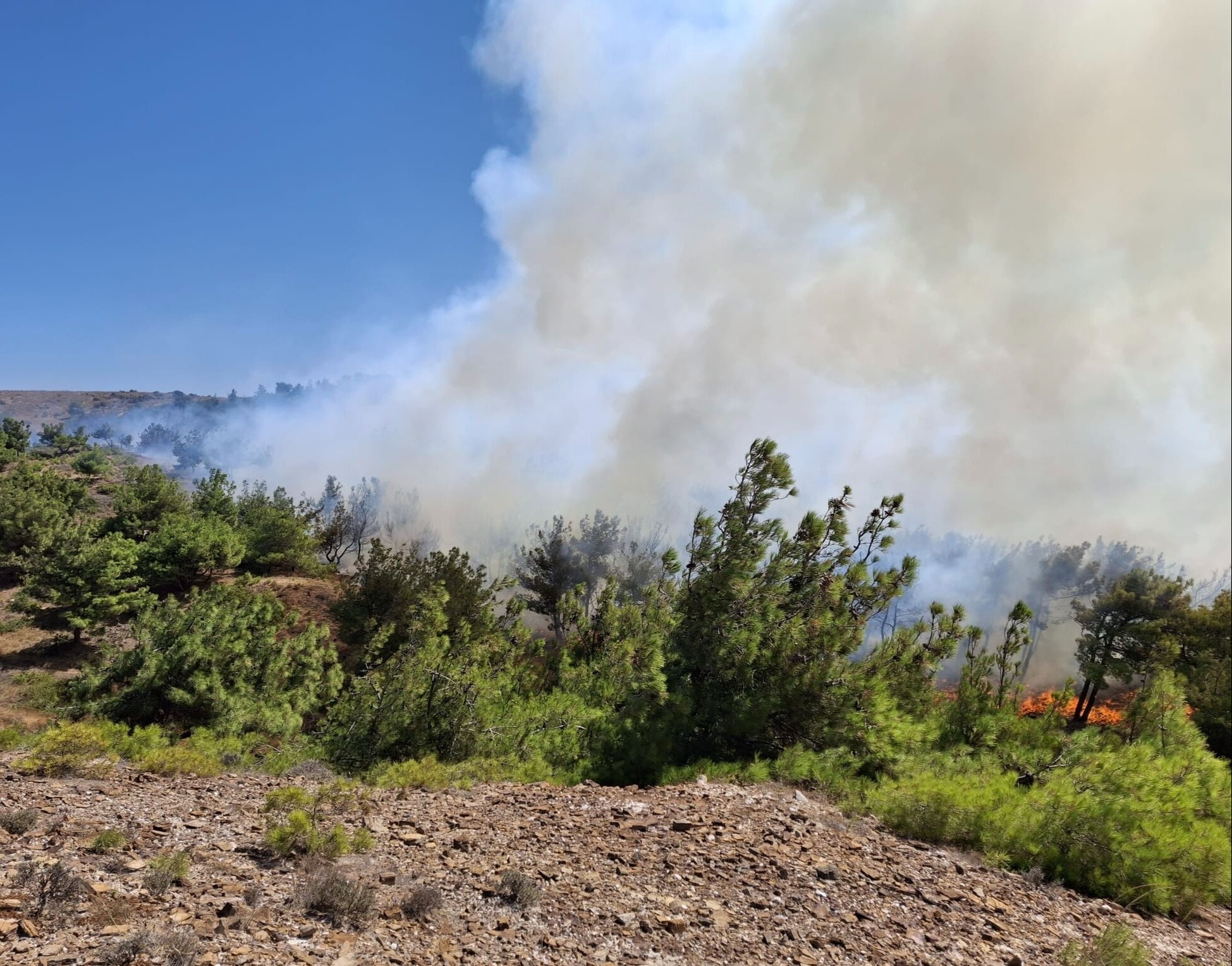 Bozcaada'da ziraat arazisinde yangın çıktı! Çanakkale ve çevresinden hava araçları bölgeye yönlendirildi - 2. Resim