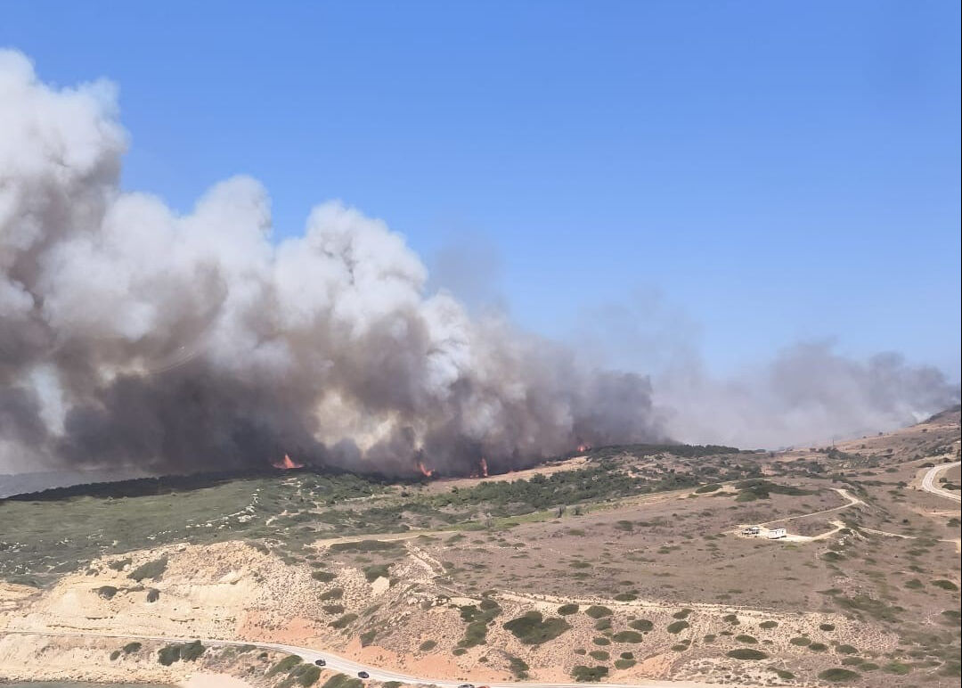 Bozcaada'da ziraat arazisinde yangın çıktı! Çanakkale ve çevresinden hava araçları bölgeye yönlendirildi - 4. Resim