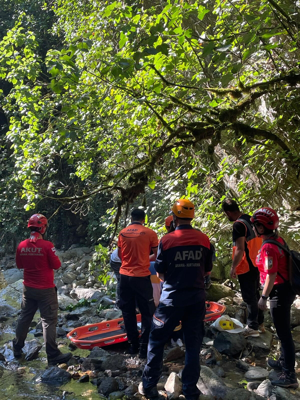 Giresun'da kayıp olarak aranan kadının derede cesedi bulundu Giresun'da kayıp olarak aranan kadının derede cesedi bulundu - 1. Resim