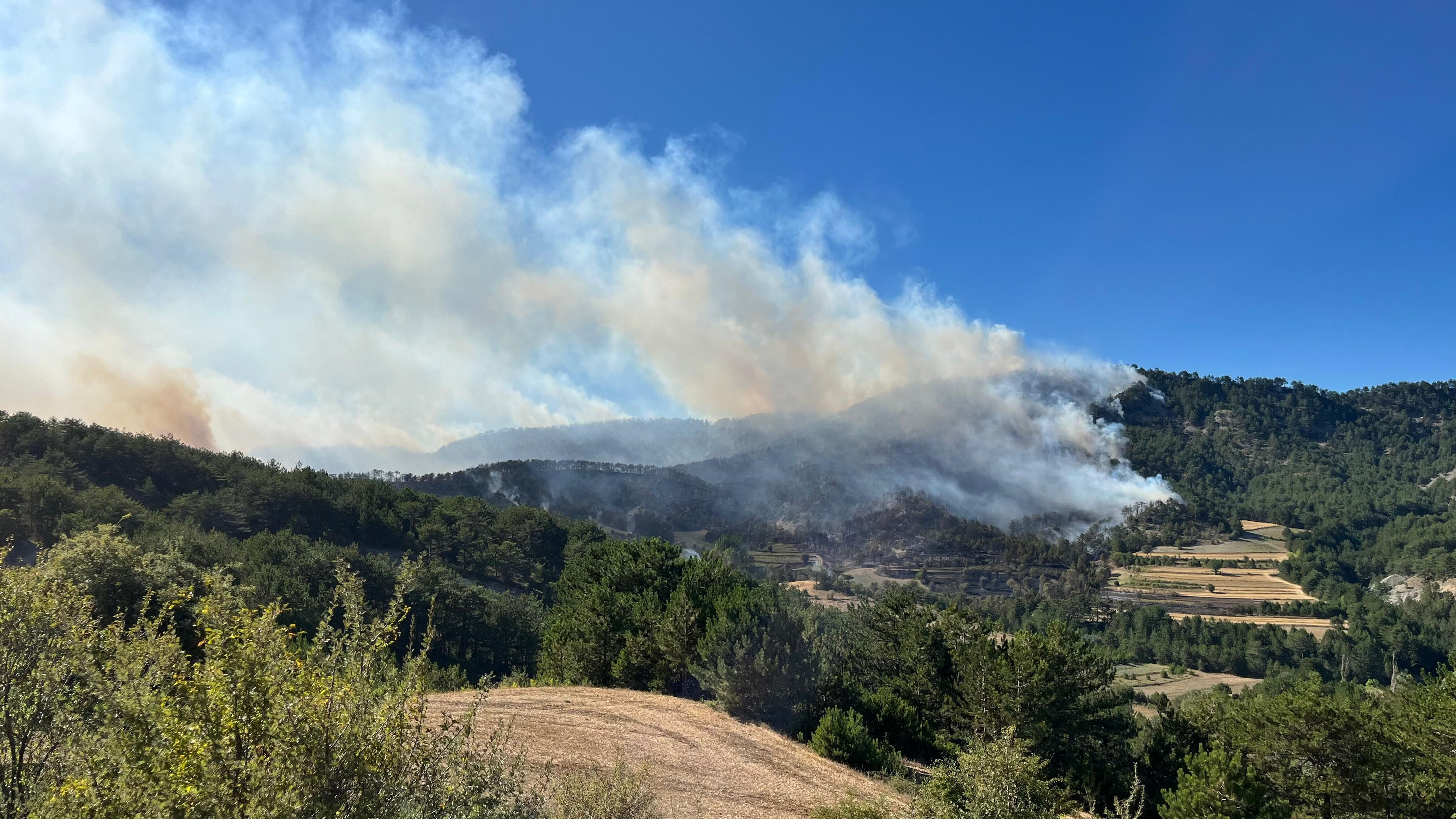 Bolu'daki yangın büyüdü! İki köye tahliye kararı - 2. Resim