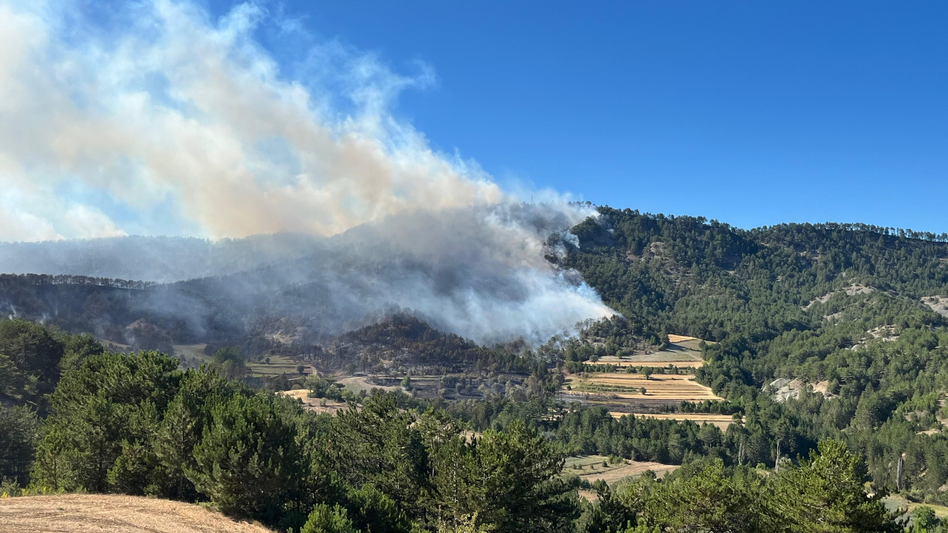 Bolu'daki yangın büyüdü! İki köye tahliye kararı - 1. Resim