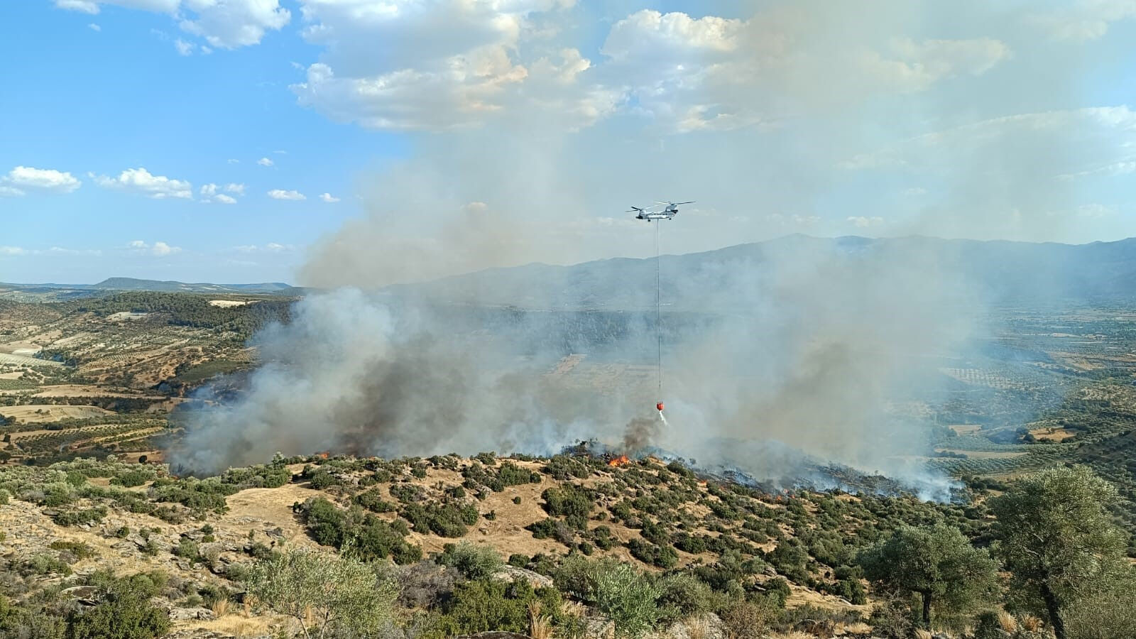 Çanakkale, Bolu, Manisa, Aydın'da orman yangını! Bakan Yumaklı son durumu açıkladı - 4. Resim