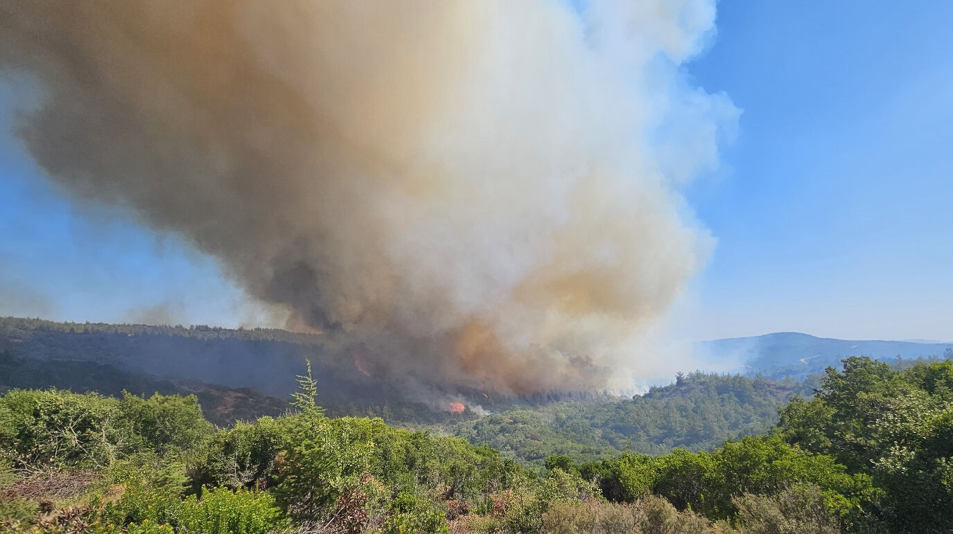 Çanakkale Eceabat'ta yangın! Şehitlik ziyarete kapatıldı - 1. Resim