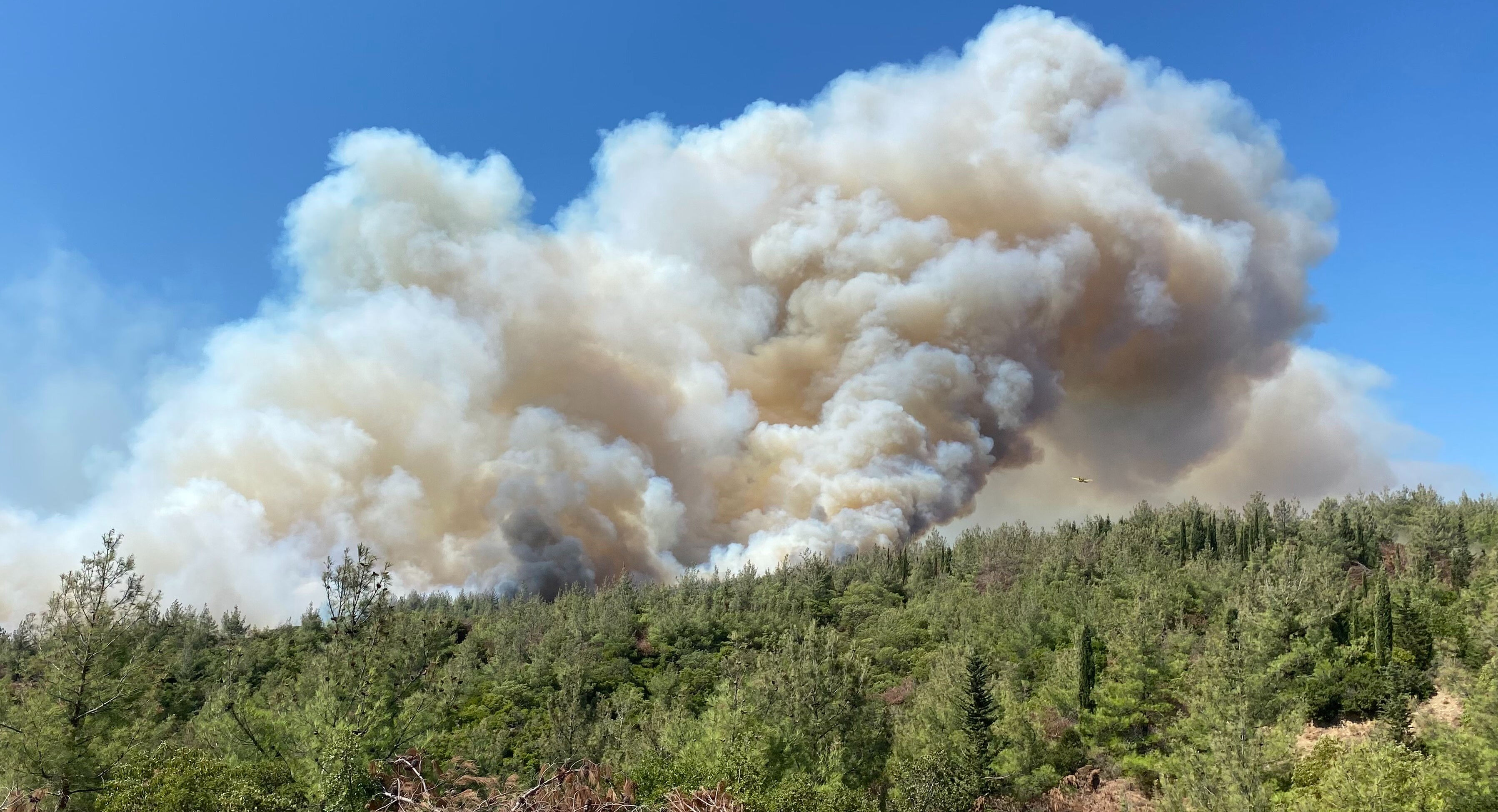 Çanakkale Eceabat'ta yangın! Şehitlik ziyarete kapatıldı - 2. Resim