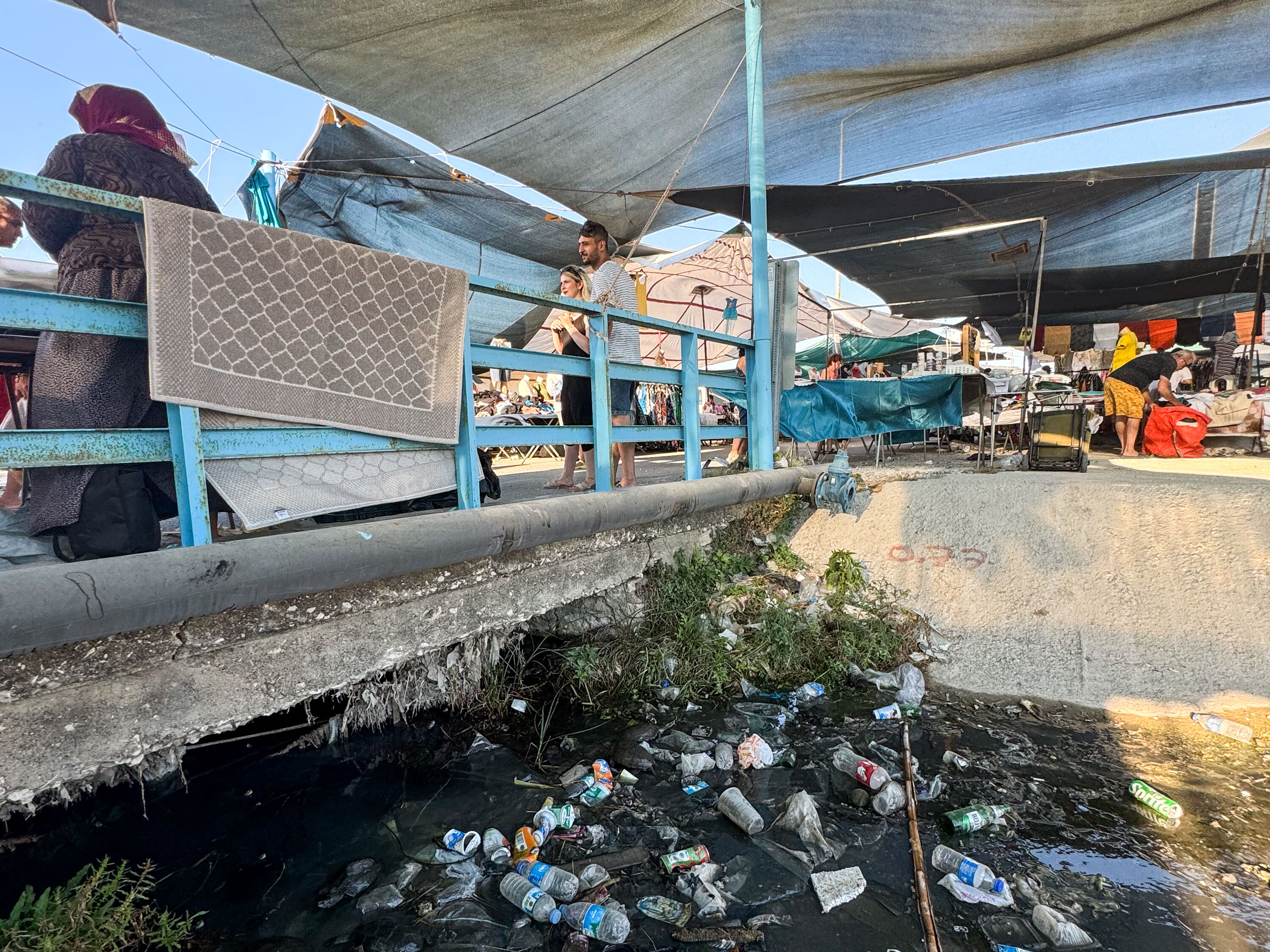 Ege'nin turizm merkezi İzmir Çeşme'de kaplumbağalar kirli suda yaşama mücadelesi verirken görüntülendi Ege'nin turizm merkezi İzmir Çeşme'de kaplumbağalar kirli suda yaşama mücadelesi verirken görüntülendi - 1. Resim