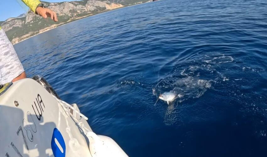 Oltasına takılan balığı &ouml;nce &ouml;pt&uuml;, sonra hemen geri bıraktı! Nedeni herkesi duygulandırdı - 3. Resim