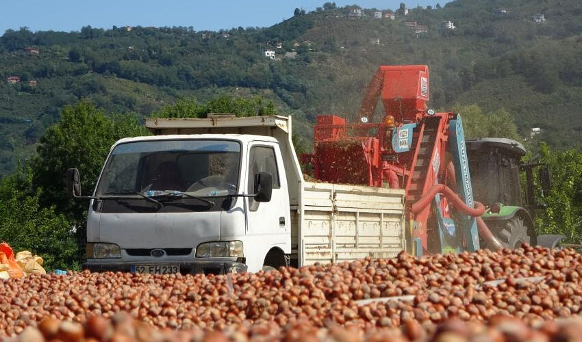 Yoğun mesai başladı! Yılda 1,5 ay kazanıp saatte 3 bin 500 TL alıyorlar - 1. Resim
