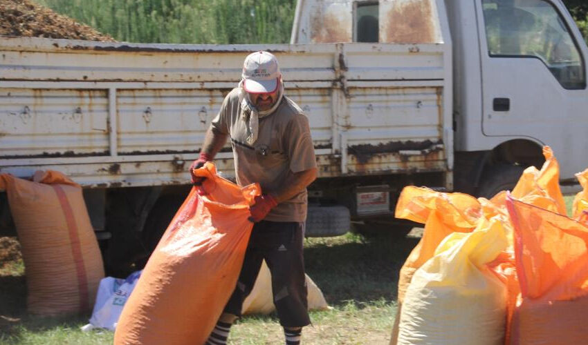 Yoğun mesai başladı! Yılda 1,5 ay kazanıp saatte 3 bin 500 TL alıyorlar - 5. Resim