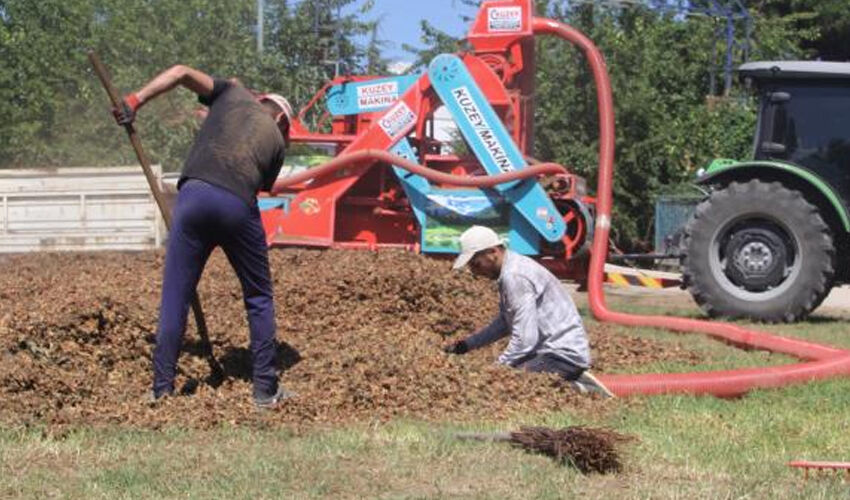 Yoğun mesai başladı! Yılda 1,5 ay kazanıp saatte 3 bin 500 TL alıyorlar - 2. Resim