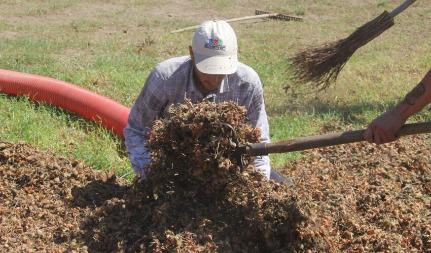 Yoğun mesai başladı! Yılda 1,5 ay kazanıp saatte 3 bin 500 TL alıyorlar - 4. Resim