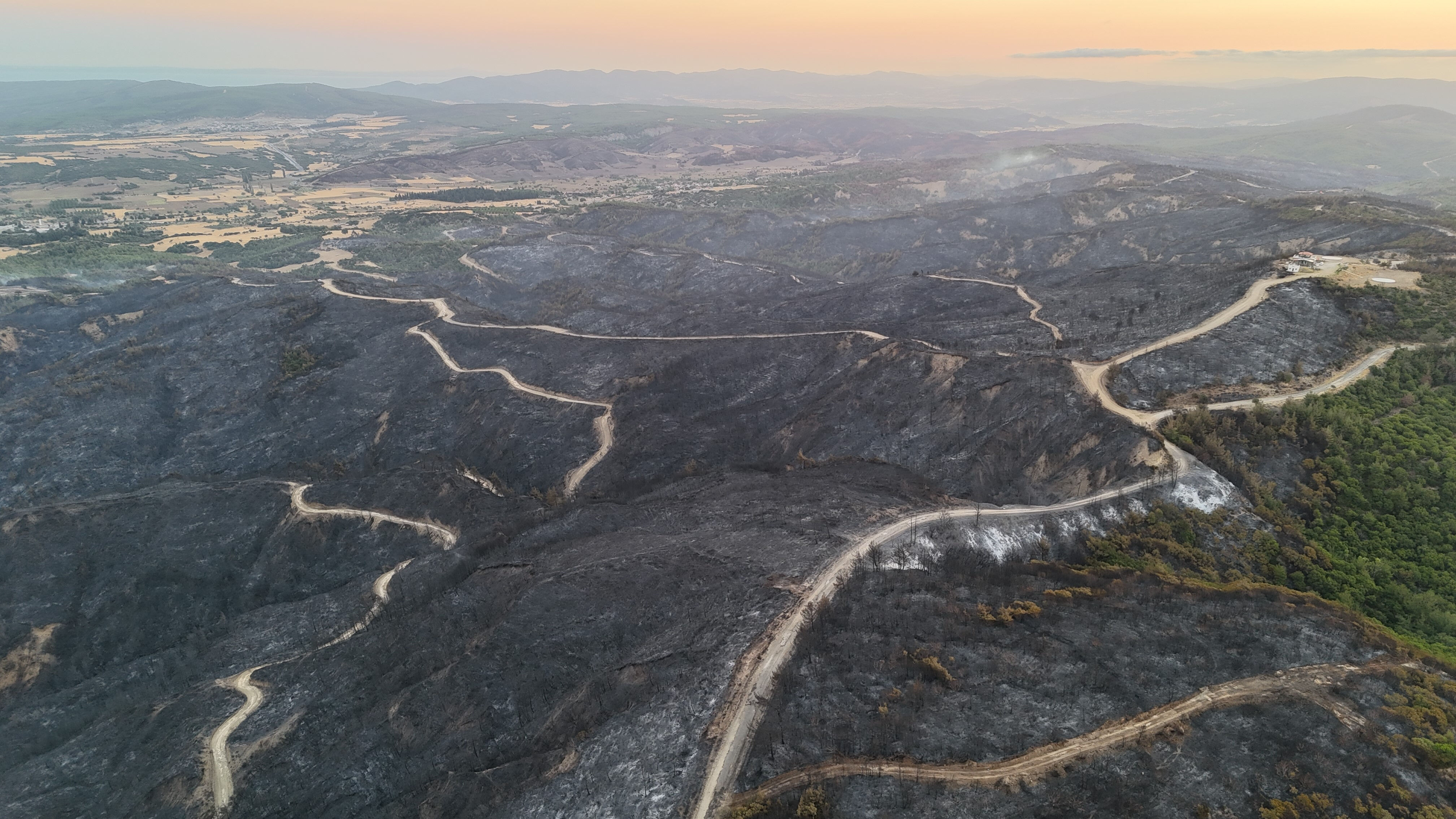 Çanakkale'de büyük yangın! Tarihi Gelibolu Yarımadası'nda alevler kontrol altında Çanakkale'de büyük yangın! Tarihi Gelibolu Yarımadası alevlere teslim - 1. Resim
