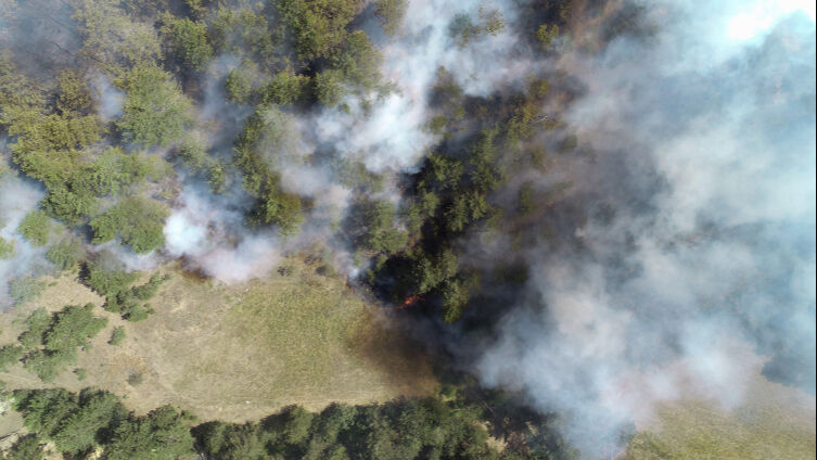 İzmir'deki yangında korkunç bilanço! 16 ev kül oldu, 84'ü tahliye edildi - 5. Resim