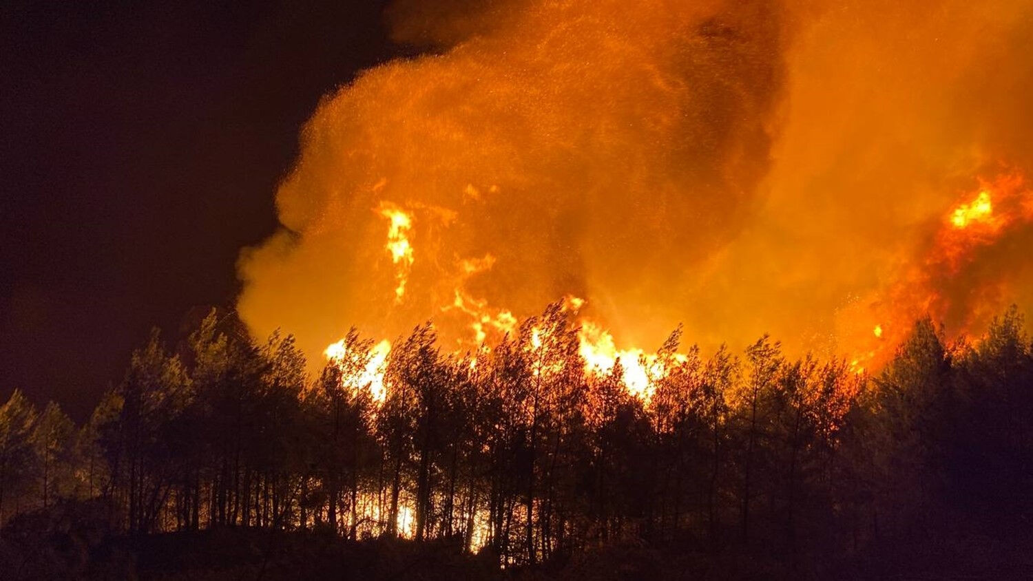 Yangın etraflarını sardı! Gazeteciler ve gönüllüler alevlerden son anda kurtuldu Yangın etraflarını sardı! Gazeteciler ve gönüllüler alevlerden son anda kurtuldu - 1. Resim