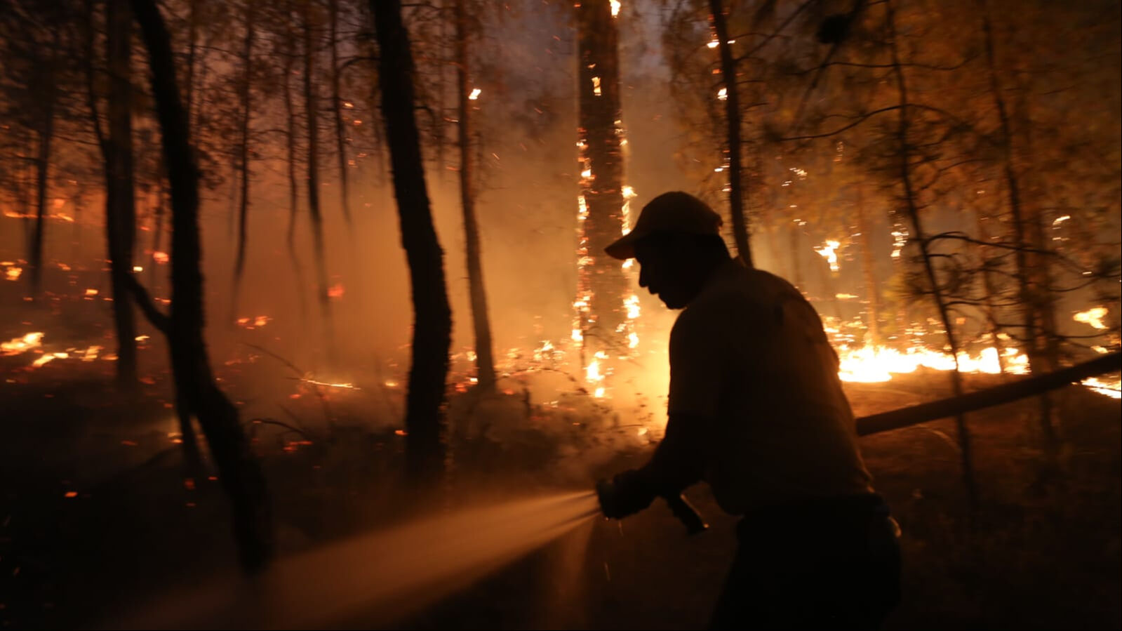 Binlerce vatandaşı evinden eden yangınlarda son durum: Gün ağardı ekipler harekete geçti - 1. Resim