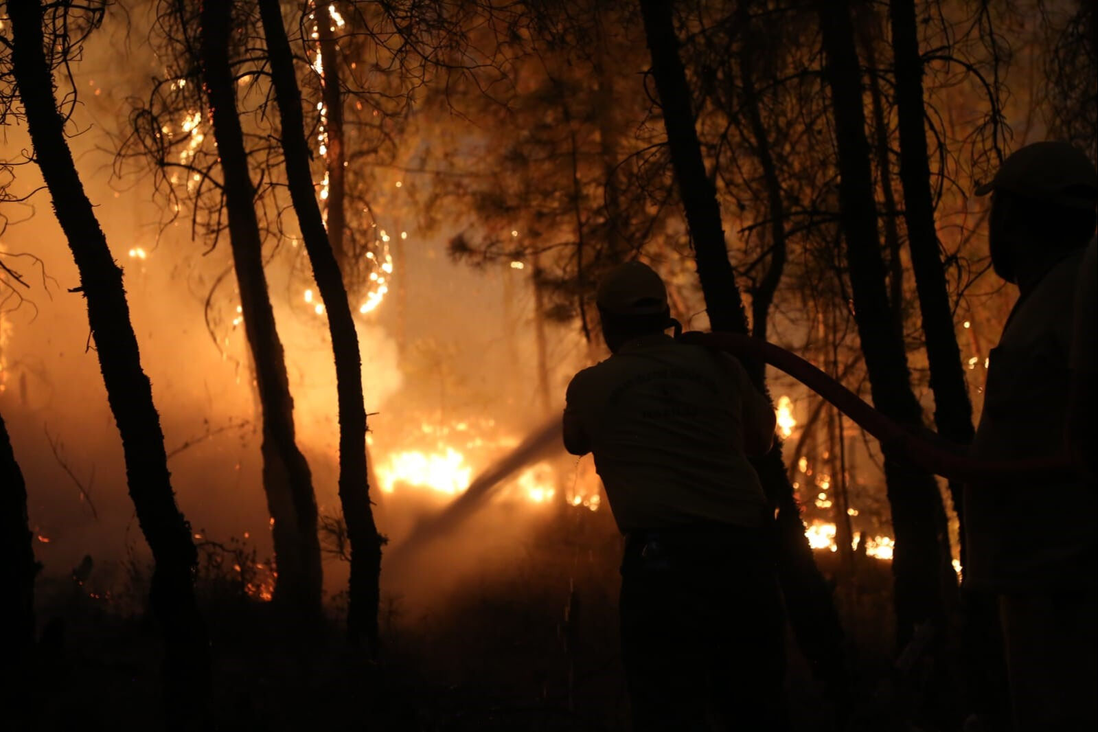 Binlerce vatandaşı evinden eden yangınlarda son durum: Gün ağardı ekipler harekete geçti - 1. Resim