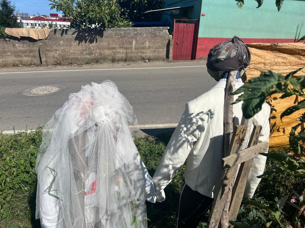 Gelin ve damattan korkuluk yaptı, kargalardan çok insanları şaşırttı - 4. Resim