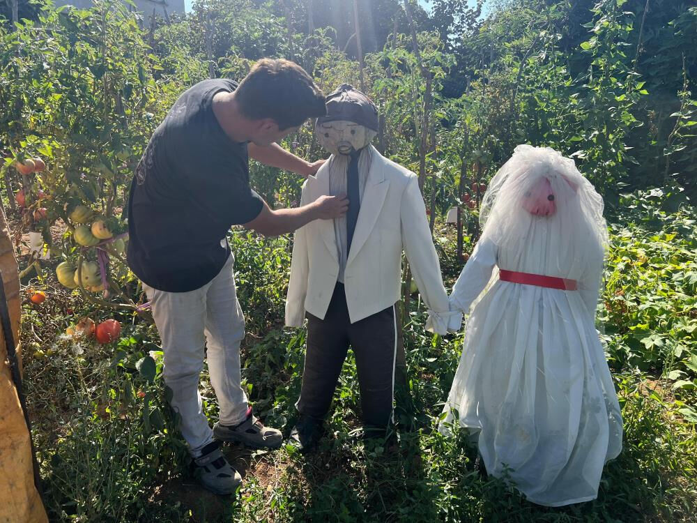 Gelin ve damattan korkuluk yaptı, kargalardan çok insanları şaşırttı - 2. Resim