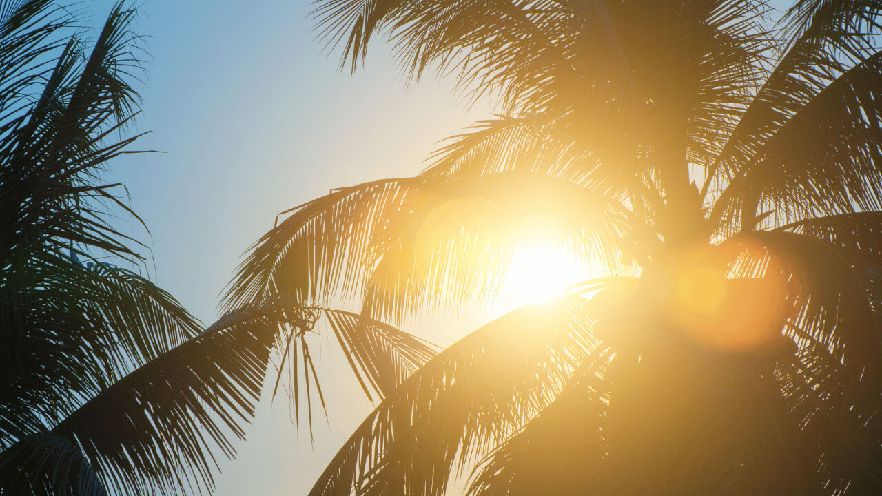 Güney Kore'de sıcak hava rekoru kırıldı! Tropikal gece nedir? - 2. Resim