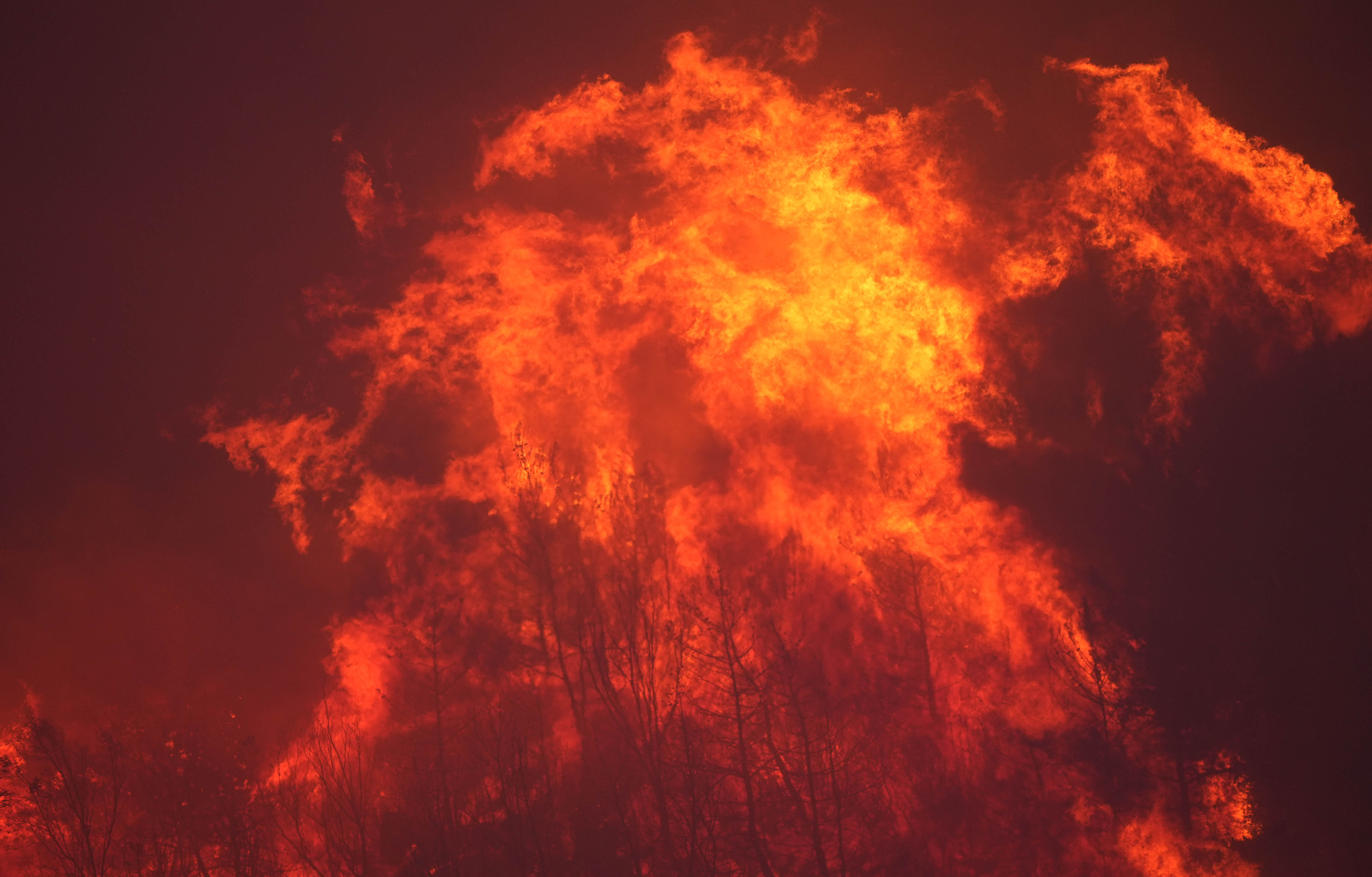 İzmir Karşıyaka yangınının sebebi "piknik ateşi" çıktı - 1. Resim