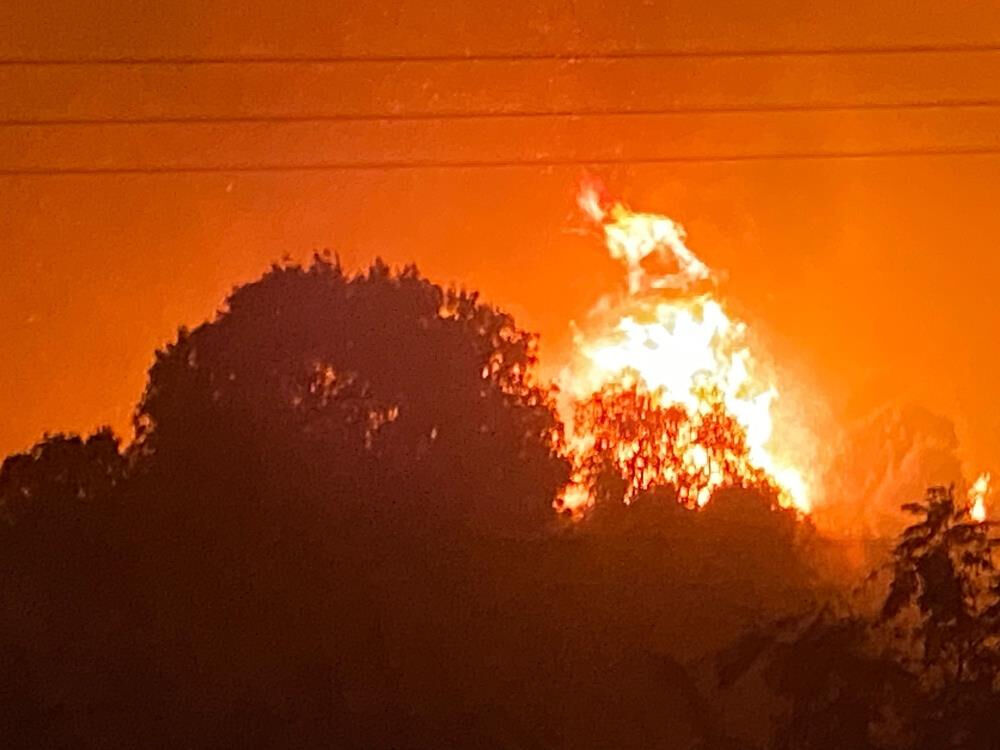İzmir'de alevler evlere sıçradı, tahliye başladı! 6 ilde alevlerle amansız mücadele - 6. Resim