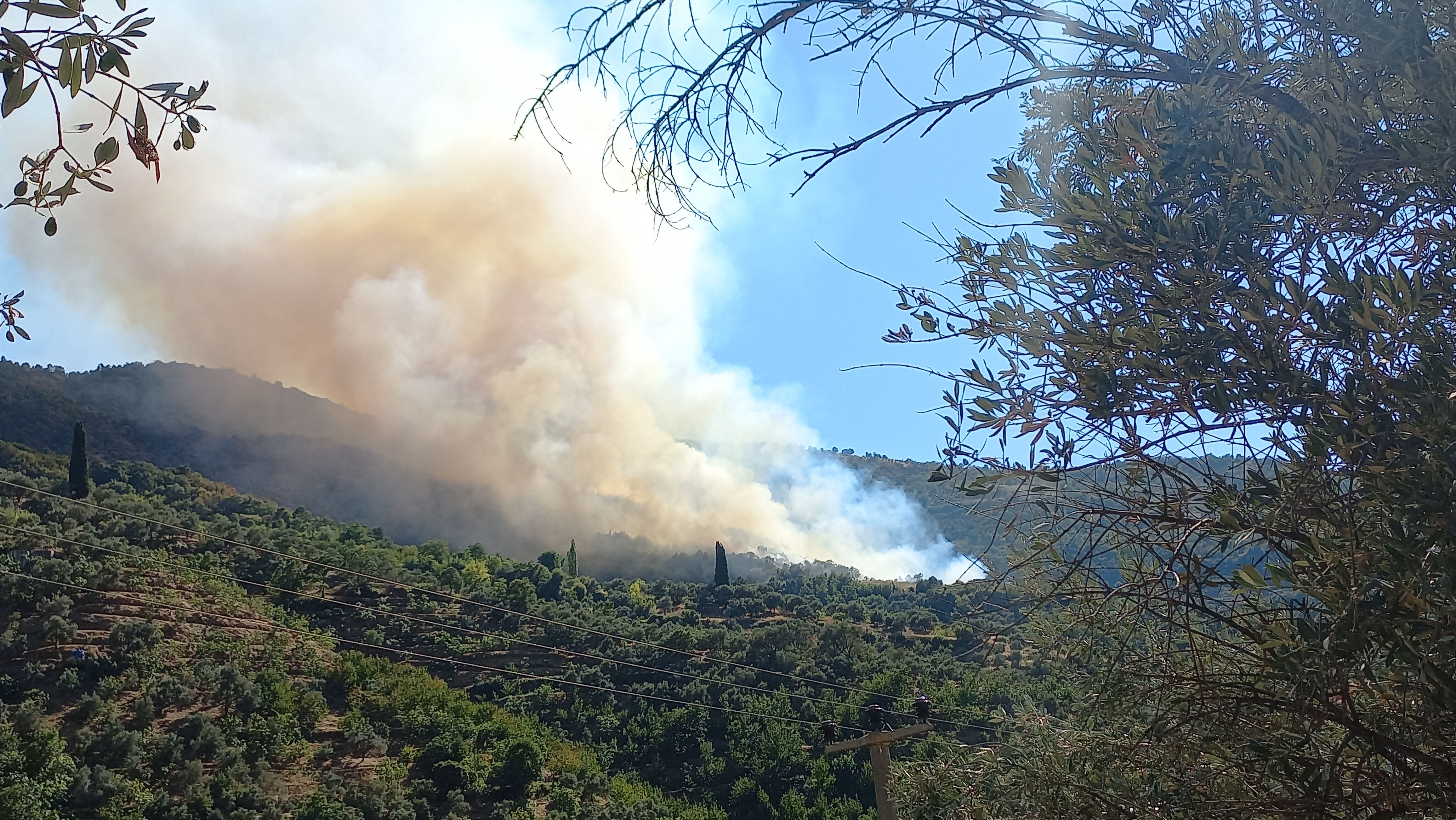 İzmir'de alevler evlere sıçradı, tahliye başladı! 7 ilde alevlerle amansız mücadele - 5. Resim