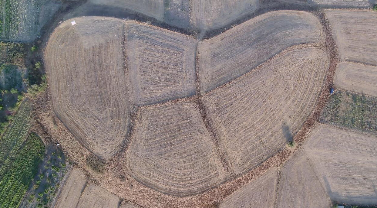 Kütahya'daki Tavşanlı Höyük kazısında yaklaşık 4 bin yıllık mühür bulundu Kütahya'daki Tavşanlı Höyük kazısında yaklaşık 4 bin yıllık mühür bulundu - 1. Resim