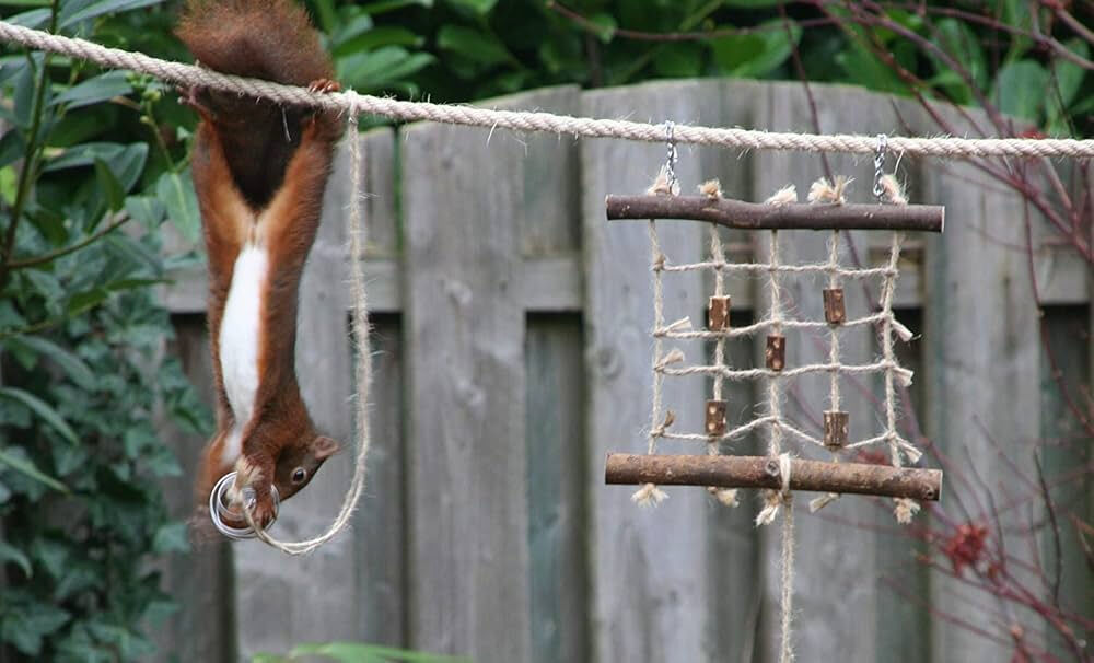 Sağlık Bakanlığı'ndan yeni rehber! Maymun çiçeği virüsü nasıl anlaşılır? Virüs nasıl bulaşır?  İşte detaylar... - 10. Resim
