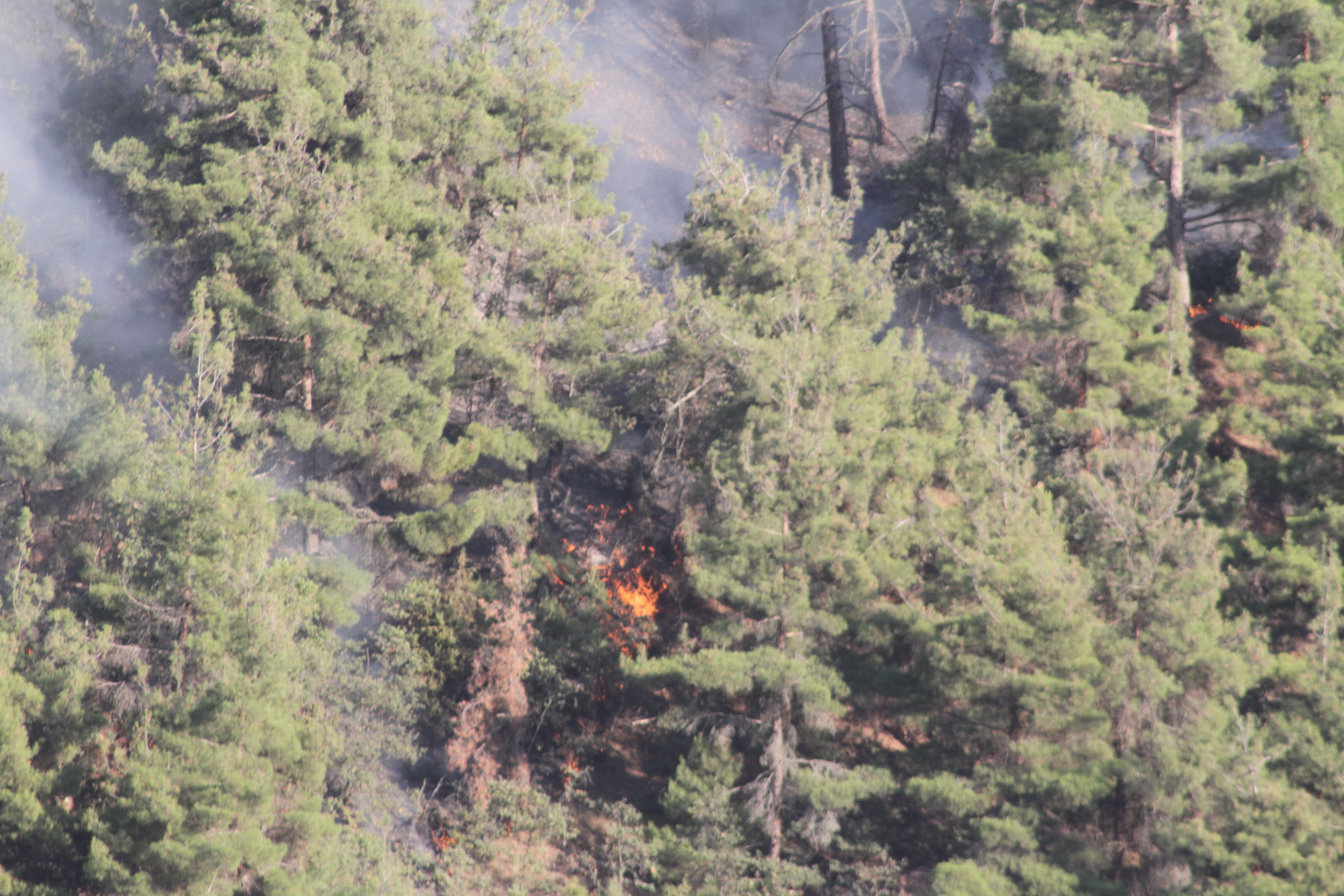 Uşak'taki orman yangını sınırı aştı! Manisa'da 1 köy boşaltıldı - 1. Resim
