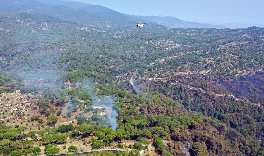 Alevler yeşili gri yaptı... Felaketten geriye kalan acı manzaralar - 1. Resim